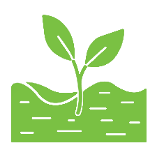Rich Soil