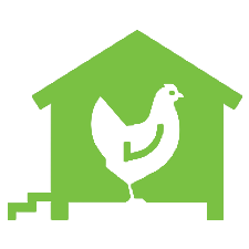 Spacious and Well-Ventilated Coops